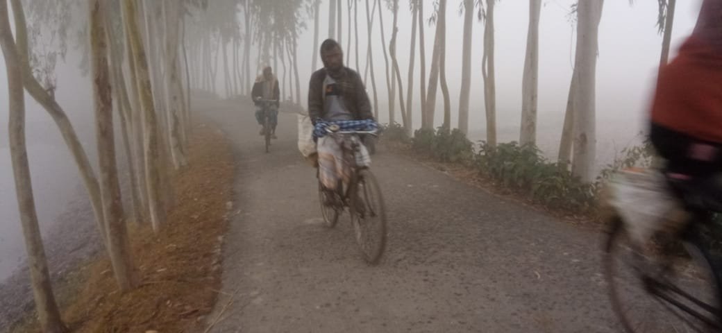 কনকনে শীত ও ঘন কুয়াশায় স্থবির কুড়িগ্রাম-রংপুর, বিপর্যস্ত জনজীবন