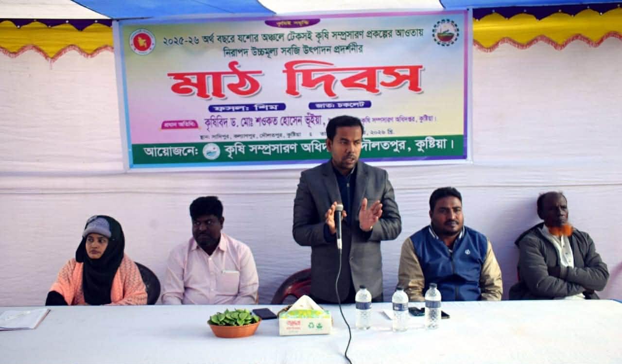 তামাক নয়, শিম চাষে ফিরছে মাটির প্রাণ: দৌলতপুরে কৃষি বিভাগের ব্যতিক্রমী উদ্যোগ