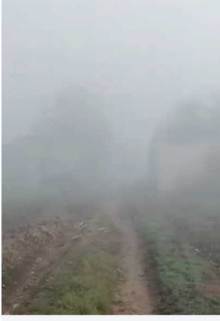 তালায় জেঁকে বসেছে শীত, বিপর্যস্ত জনজীবন
