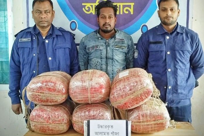 মাদকবিরোধী অভিযানে ফুলবাড়ীতে গাঁজাসহ আটক ১