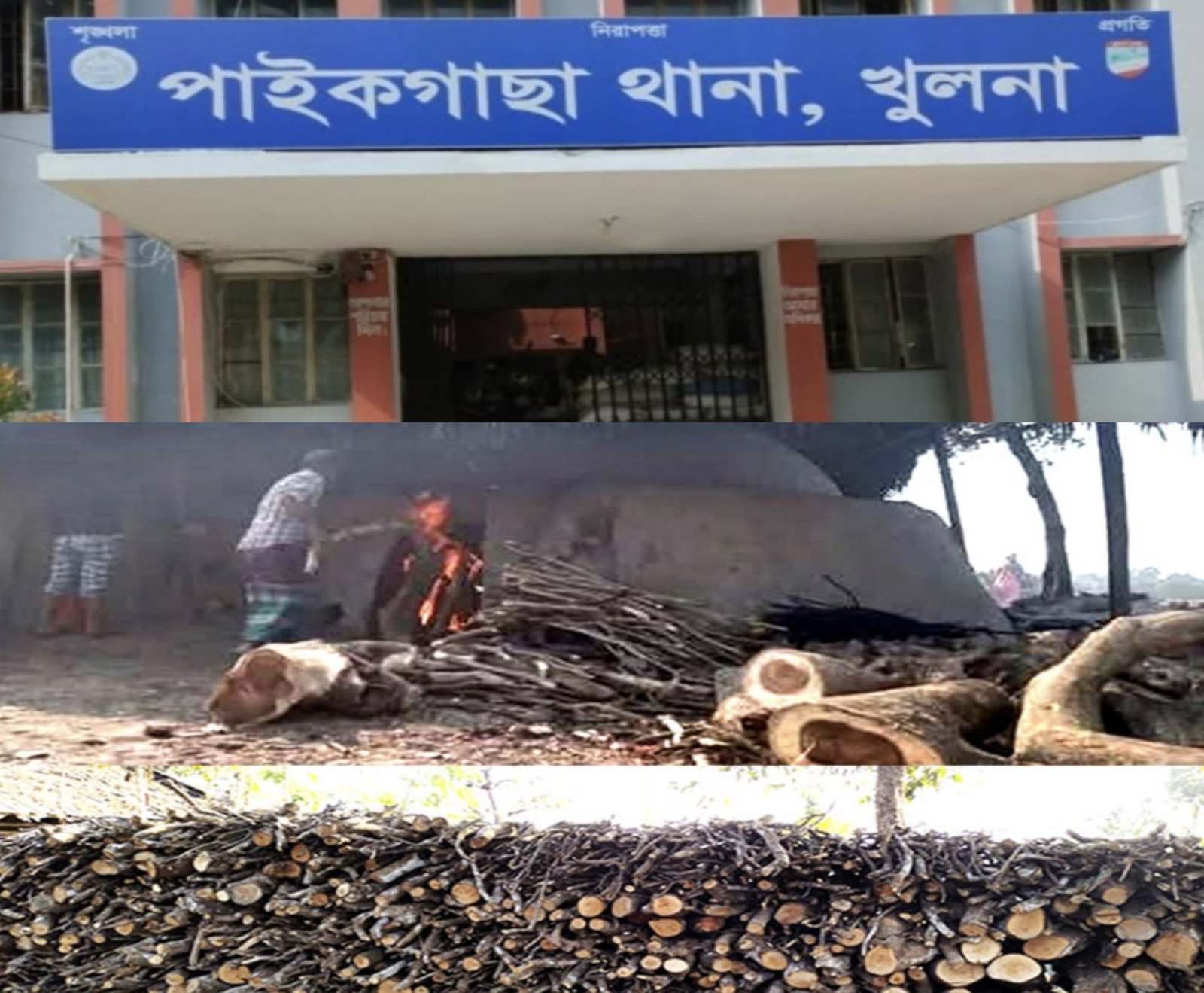 অবৈধ কাঠ কয়লার ধোঁয়ায় শ্বাসরুদ্ধ চাঁদখালী। পাইকগাছা থানা পুলিশের রহস্যজনক নিরবতায় জনআস্থা বিপন্ন।