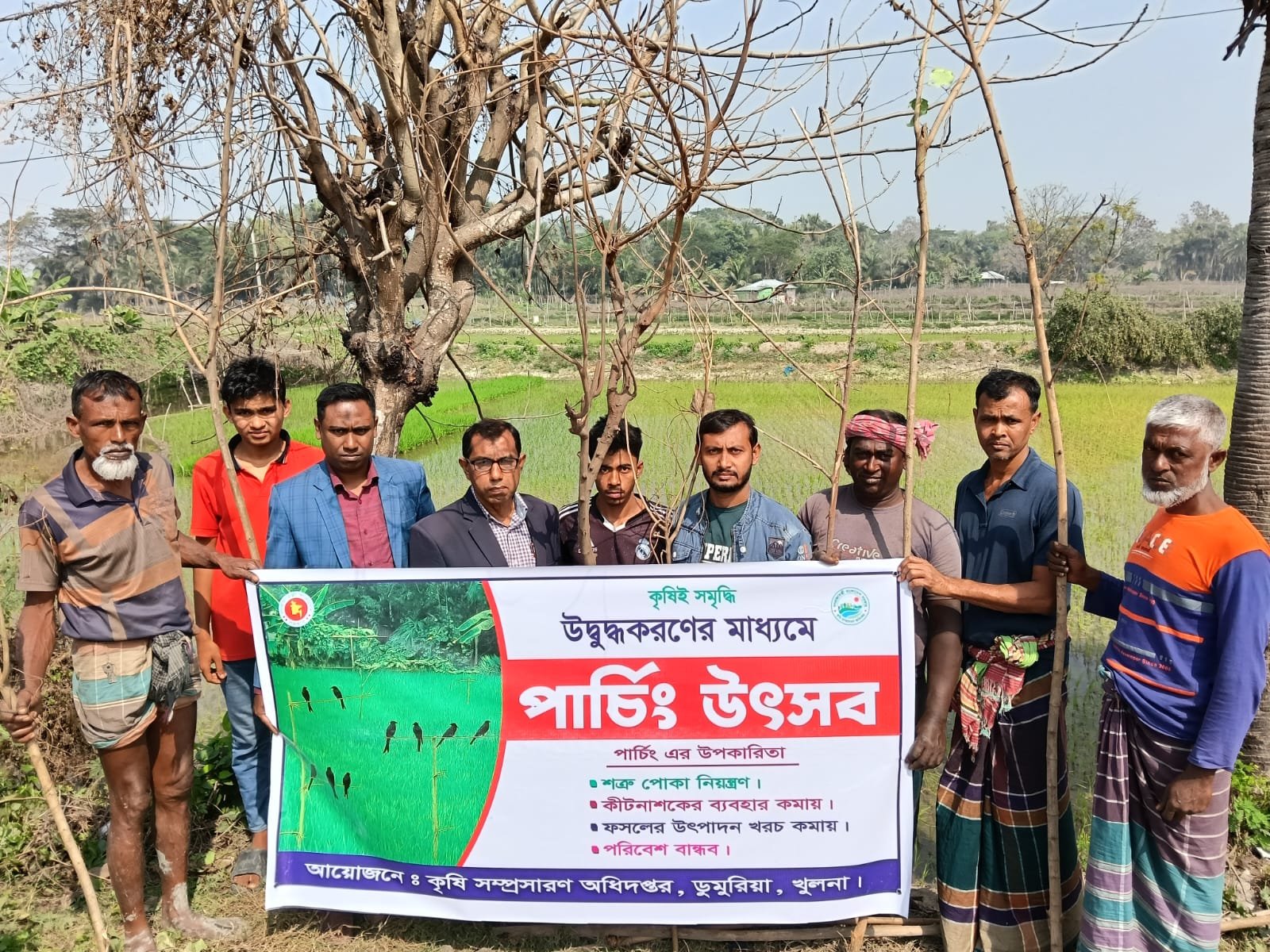 ক্ষেতে পাচিং প্রযুক্তি গ্রহণ করেছে ডুমুরিয়ার চাষিরা