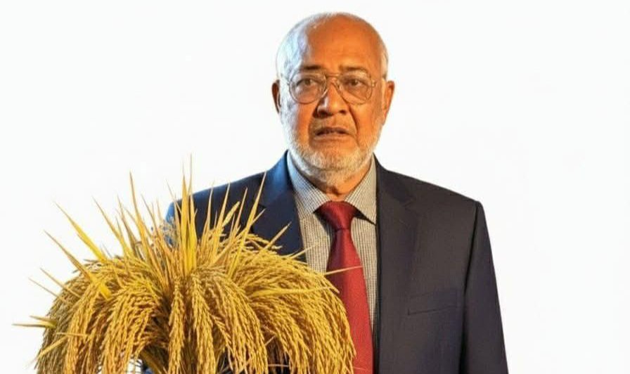ঐতিহ্যের ধানের শীষ ও বাচ্চু মোল্লার ব্যক্তি ইমেজে উজ্জীবিত দৌলতপুর