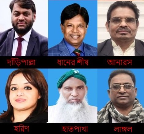 ঢাকা-১ আসনে ধানের শীষ ও দাঁড়িপাল্লার হাড্ডাহাড্ডি লড়াইয়ের আভাস