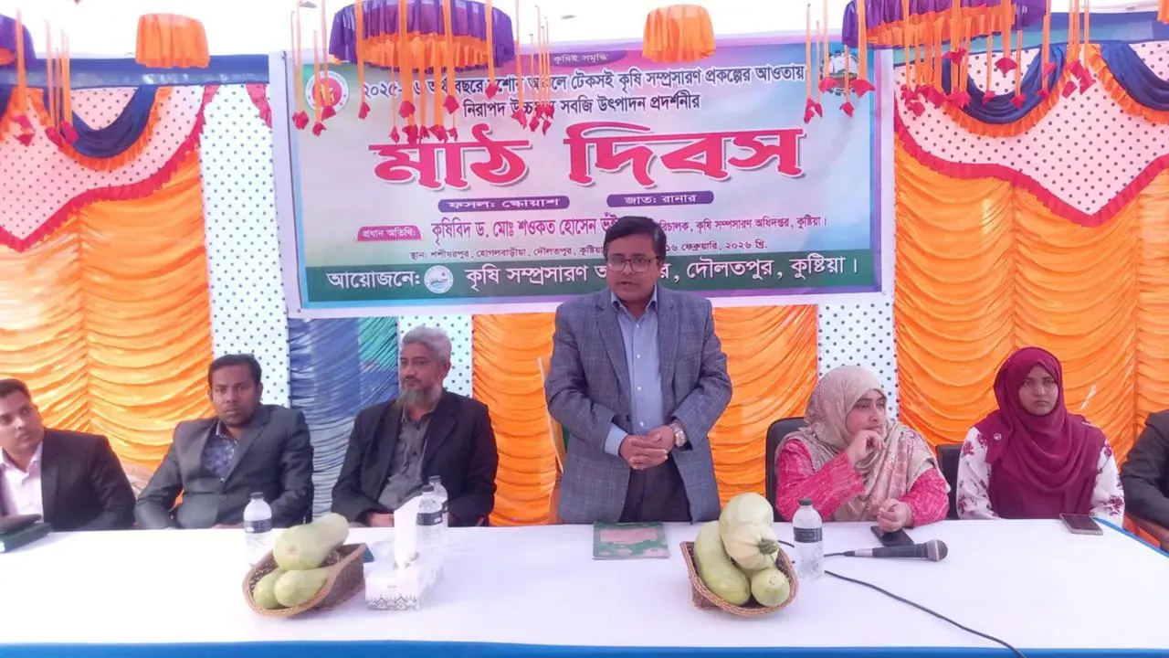 তামাকের বিষ ছেড়ে স্কোয়াশের সুবাস: দৌলতপুরে নতুন কৃষি বিপ্লব।